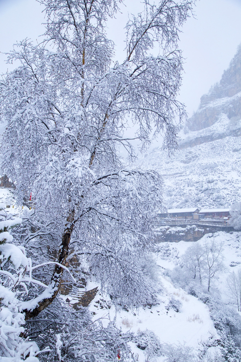 悬空村雪景～宁武县涔山乡王化沟村是一个令人惊奇而独特的村庄,它隐