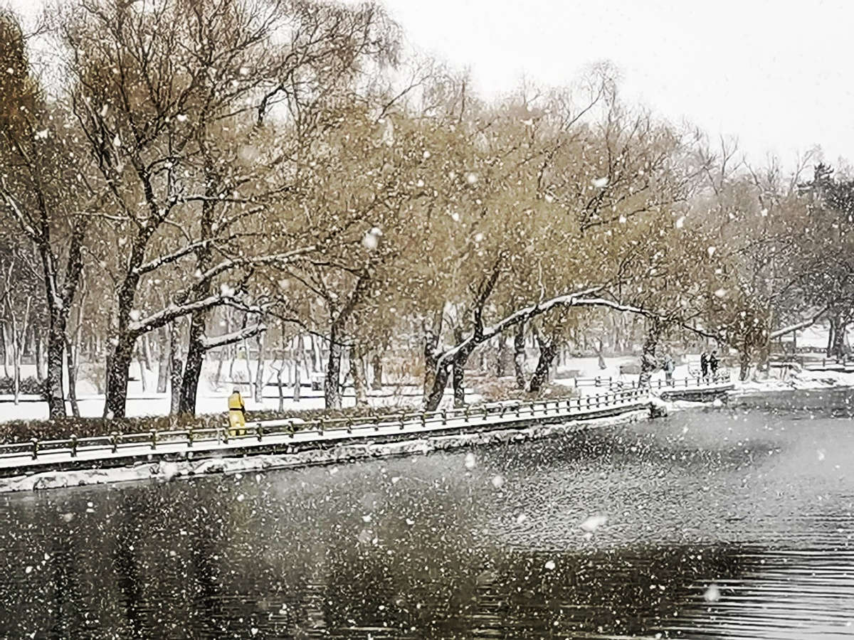 2021,11,9长春漫天大雪,美极了!