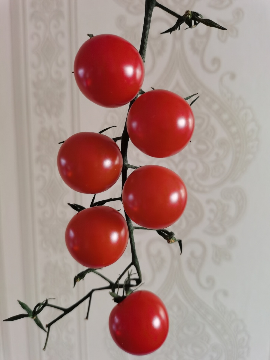 一串番茄
