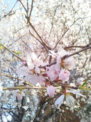 150408