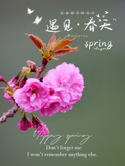 08119BA2-5B98-4BE4-9FE6-78F986D37A5D/L0/001