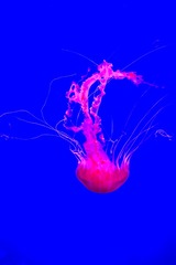 217F940F-27ED-46E3-8A8C-E6115B7B580C/L0/001