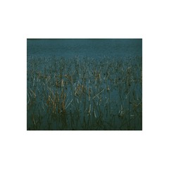 1E338C04-2CC2-40D6-B00E-823FE569B86B/L0/001