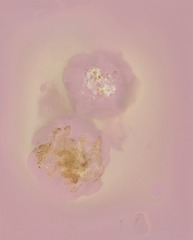 0055007A-766B-4C4A-88DE-4E75920C96CD/L0/001