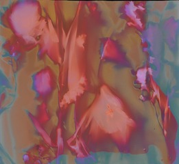 3447D30A-51AA-4F98-B6F6-1A18D2065D97/L0/001