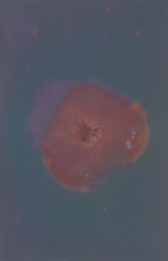 17DC2EBE-C184-482F-B3BD-96D111A2CBC4/L0/001
