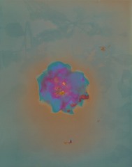 94207C84-1122-4AC1-B304-89C5A7FA5ED5/L0/001