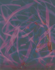 9CF87690-D191-45B6-91B9-68D07A6E10F7/L0/001