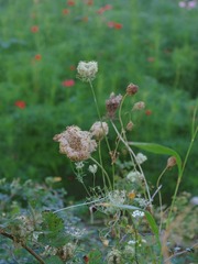 8E7AD1A6-1A3E-4C99-B51C-FD0DAA417081/L0/001