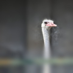677079