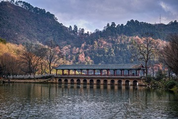 279567