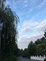 1000022843