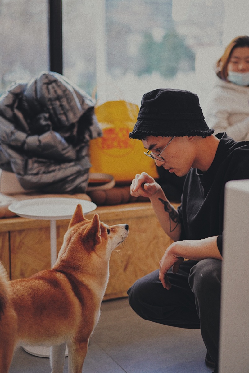 Fl国际娱乐 从老赖们 维权 看拍拍贷的底色 Fl国际娱乐 利率 征信机构 P2p理财 利息 网贷平台 拍拍贷 维权 贷款人 拍拍贷借款