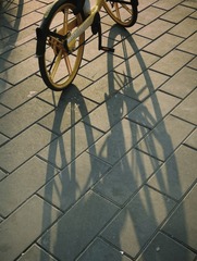 C3F77BB3-57BE-4F23-B9A8-63356FF8D5DC/L0/001