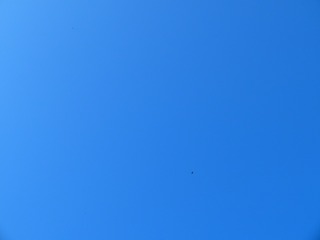 639351