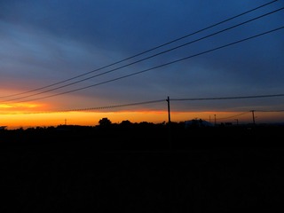 1271907