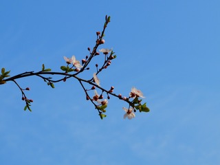1054370