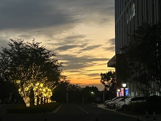 D3C4CC63-E015-4A0B-917A-7B1159F6840D/L0/001