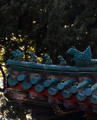 10D3D13F-95C3-42C8-AFDD-DCE3E2C20222/L0/001