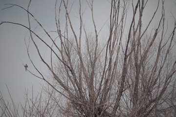 23F0FFDB-1206-4812-B54C-B27C55186FEE/L0/001