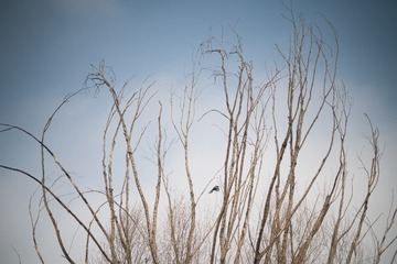 B71BF728-E53E-49CF-AD8F-7C07FF55951D/L0/001