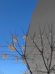 43D603B9-18C7-4541-BFBF-B88ED144CE81/L0/001