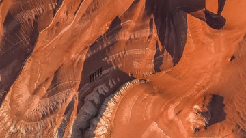 1219