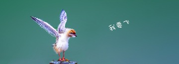 6CFF25C3-FCBC-4E98-8C7E-034449DDC3AC/L0/001