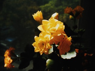 A7C70438-9D20-4C31-8458-2B3867F01247/L0/001