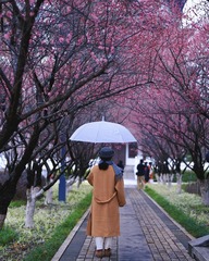 1F3E993F-1285-41F4-AA48-FE7C6DDDE304/L0/001