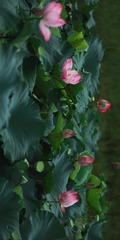 B6324F17-E71C-4C62-A565-0031E0302292/L0/001