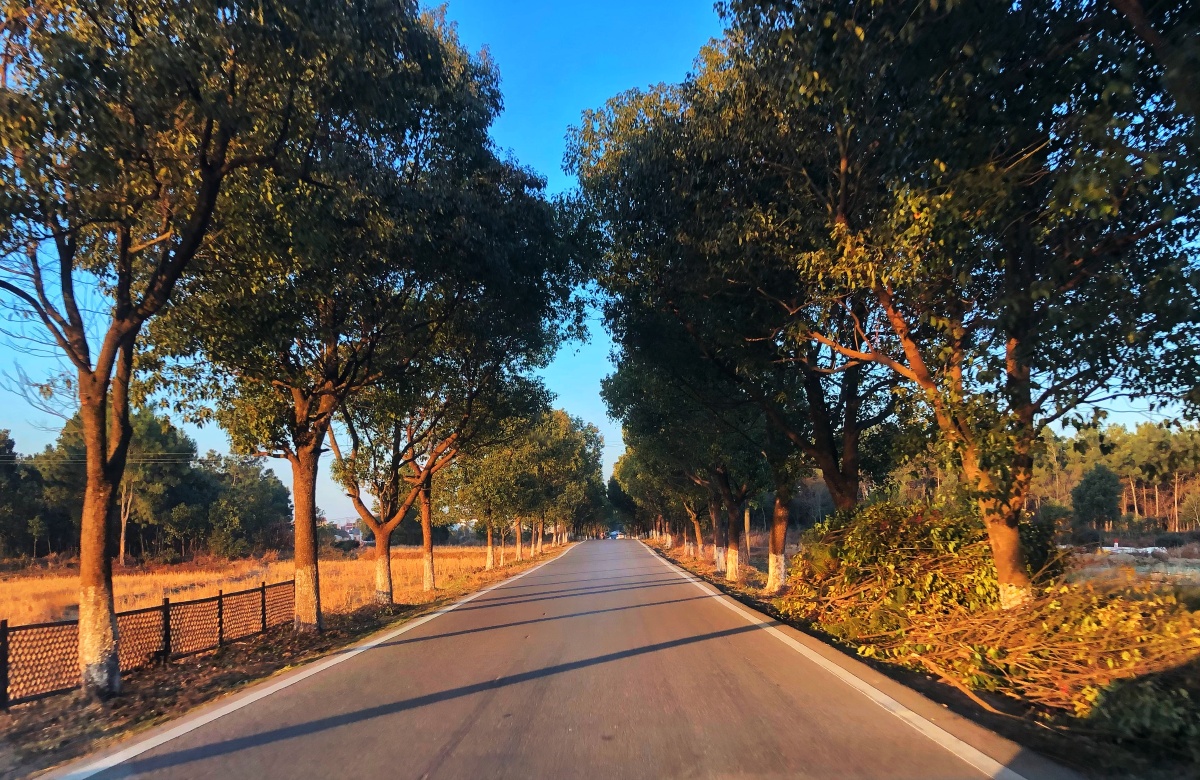 金色的阳光照在大地上