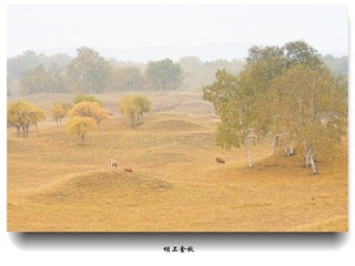 _DSC1202z__