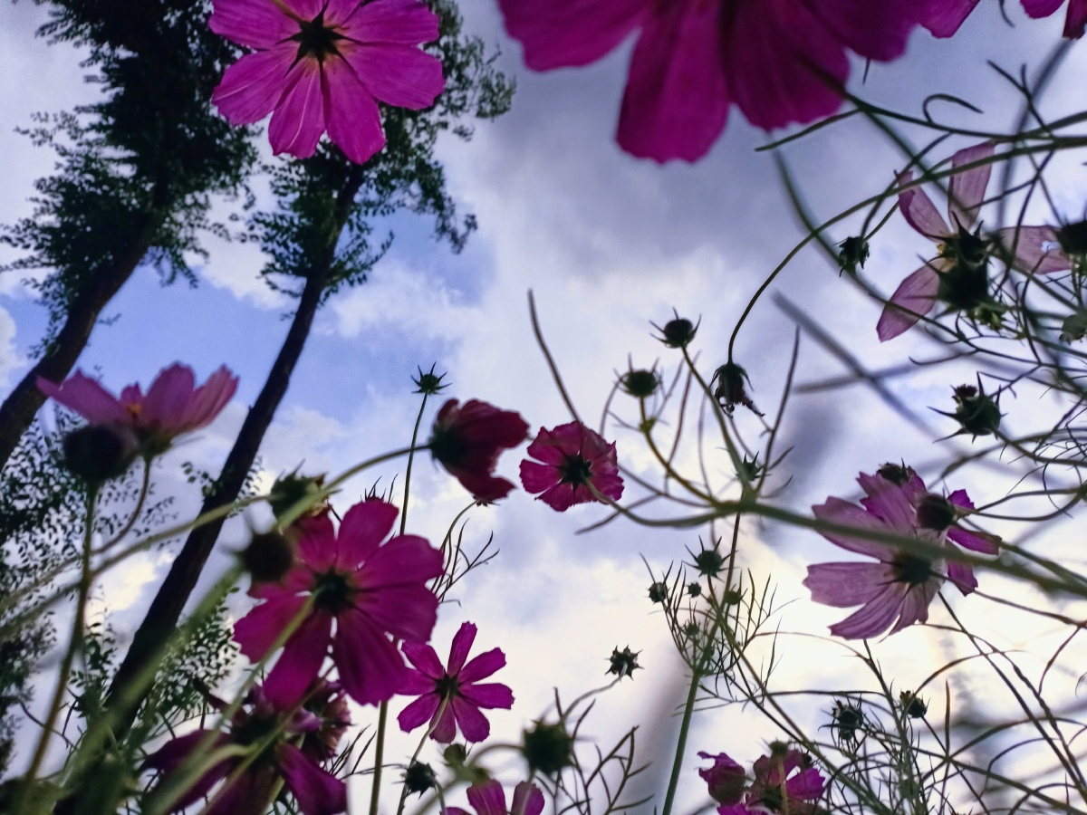 夏末景色自然保护区