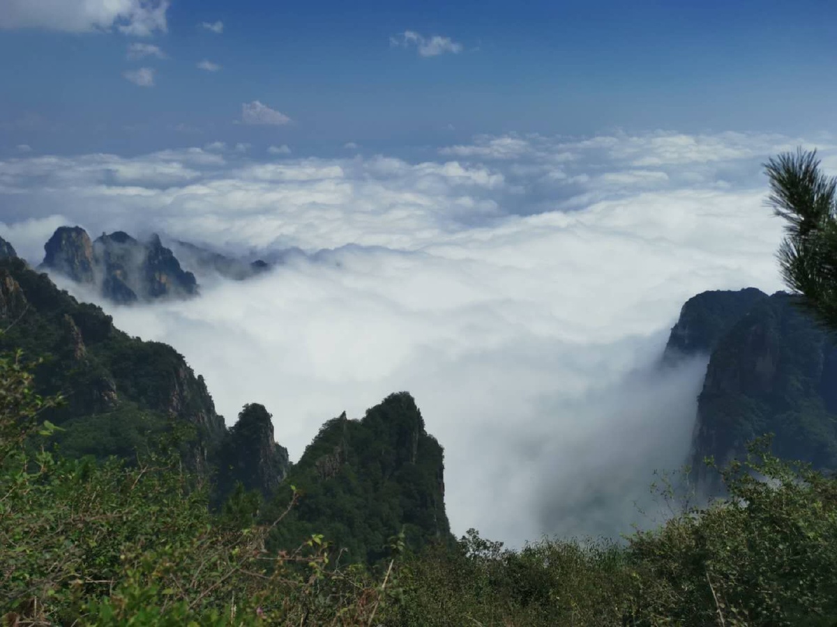 山西晋城王莽岭美景