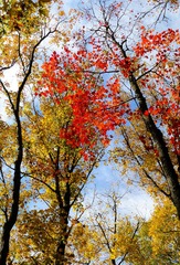 P1030578_RV