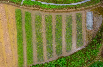 DJI_0138