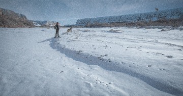 野性的呼唤