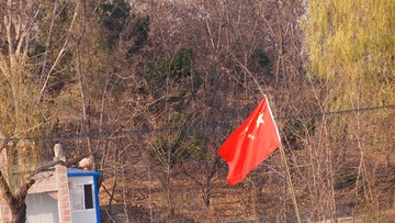 P1014144