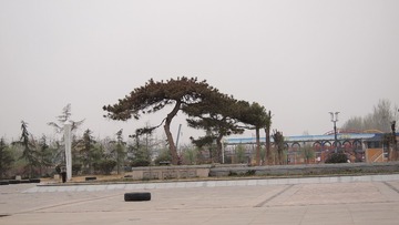 P1014636