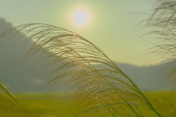 3670D3A7-4FA4-4893-94D8-26716280988A/L0/001