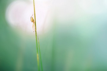 205B29F7-C060-44FA-BCC8-E061465E9ACF/L0/001