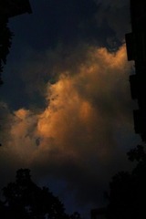 56C6C524-950F-4F5F-A26C-39342606BD6C/L0/001