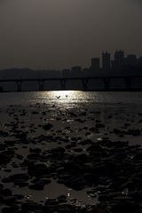 8FEF42F7-6442-40FF-A9F3-FB0D3FB7ED3F/L0/001