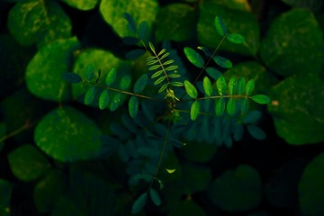 16F5208D-D2DE-491E-95C6-AFAA5672F43E/L0/001