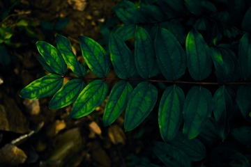 55AE4E53-88BA-437E-9599-B645F2BEC2D2/L0/001