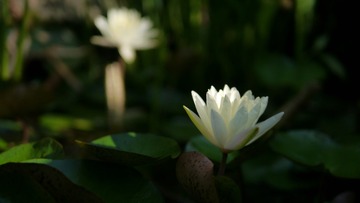 轮回-摄影王志磊