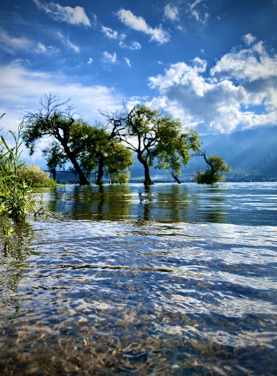 每个人的大理和丽江都是不一样的
