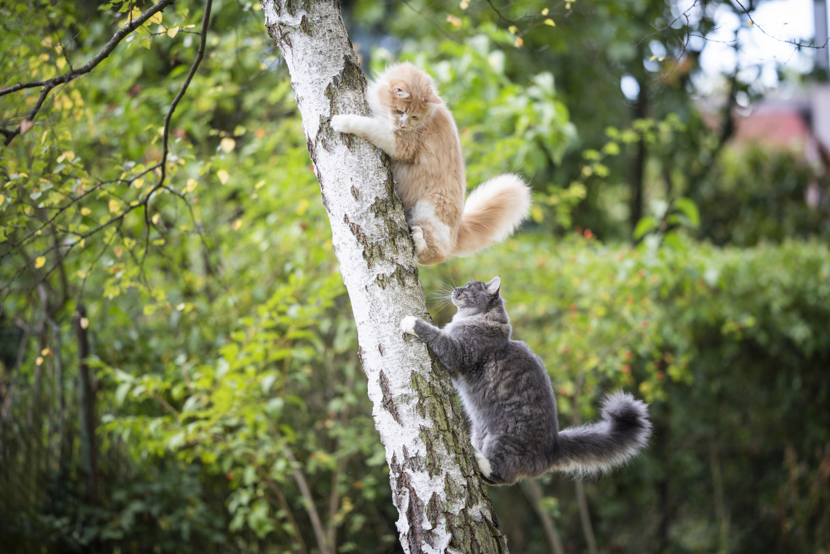 生活不易且行且珍惜 - 纪实, 百姓, 感触, 佳能, 胖电塔与街头摄影10期 - 黄汉森 - 图虫摄影网