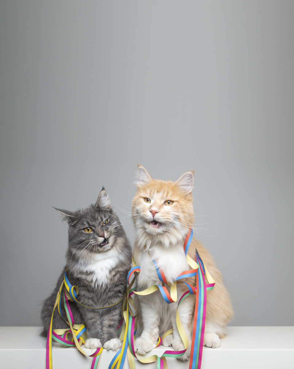 生活不易且行且珍惜 - 纪实, 百姓, 感触, 佳能, 胖电塔与街头摄影10期 - 黄汉森 - 图虫摄影网